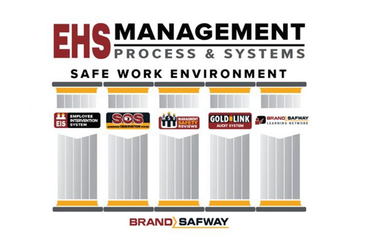 EHS Management Process - 5 Pillars